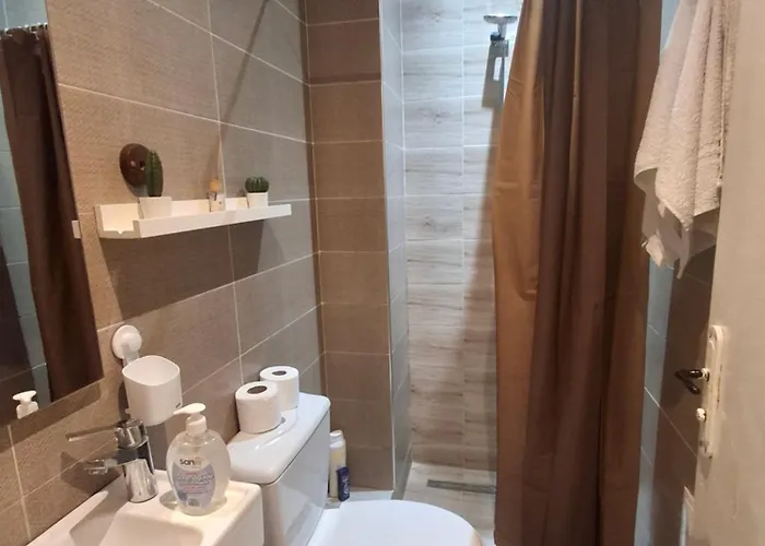 Entire Apartment